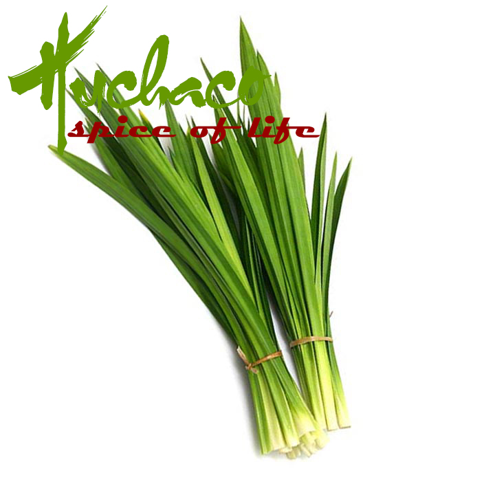 mua lá dứa thơm